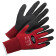 Vorne
